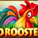 40 Roosters Game Banner
