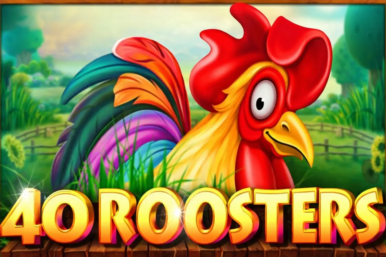40 Roosters Game Banner