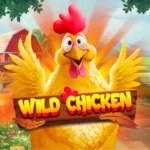 Wild Chicken Game Banner